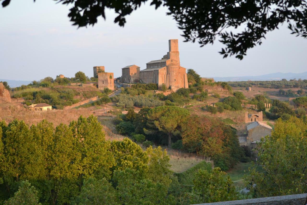 Il Riuscello Villa Tuscania Esterno foto